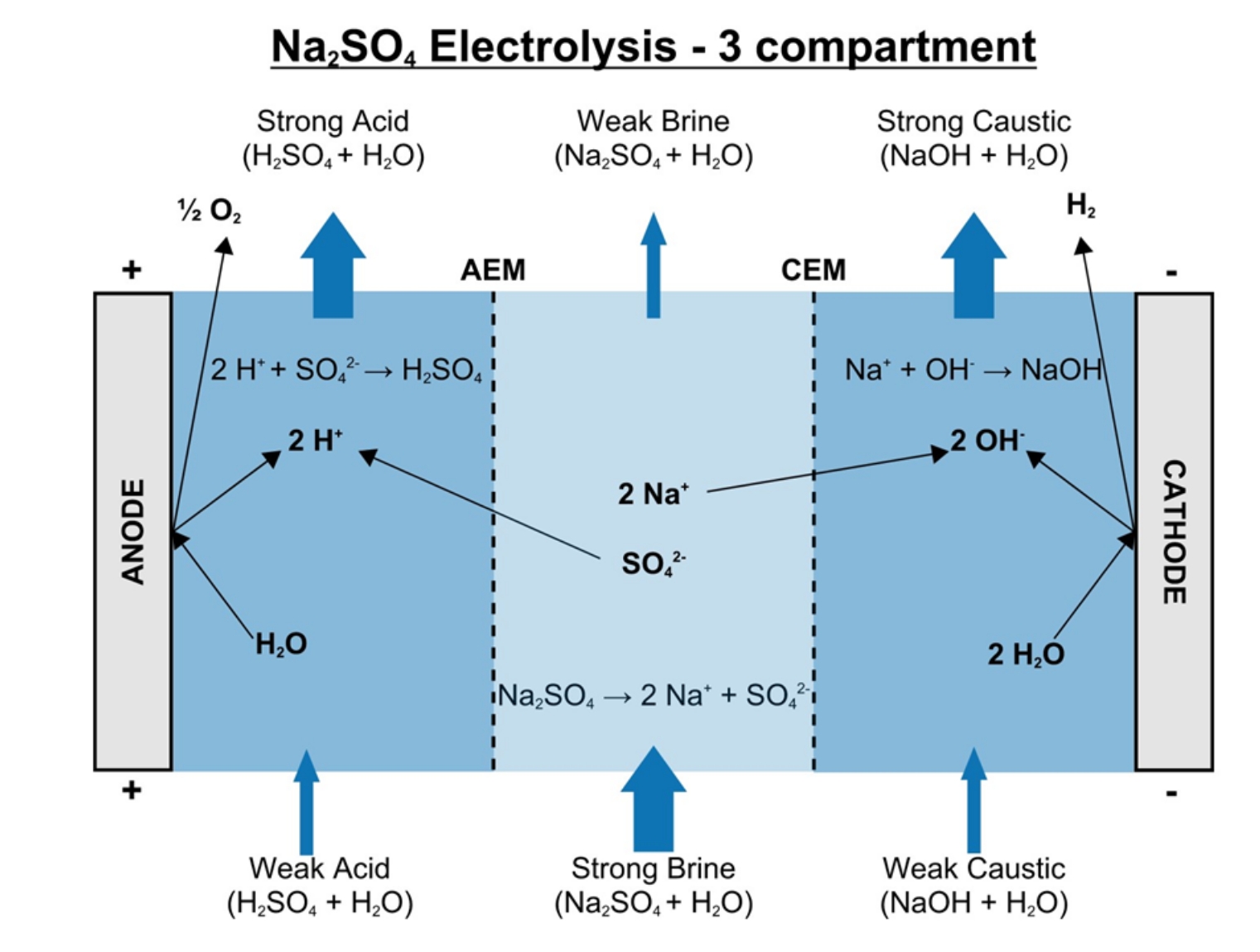 Growing the Electrochemical Value Chain