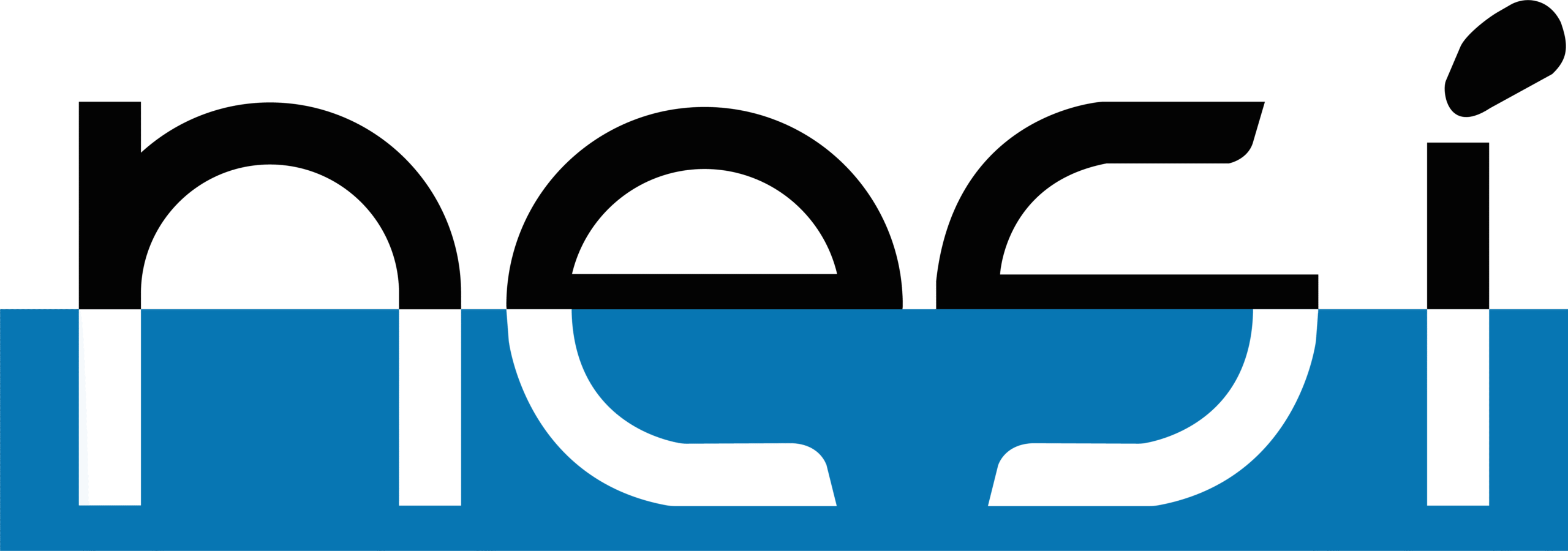 NESI logo